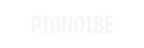 Pignoise